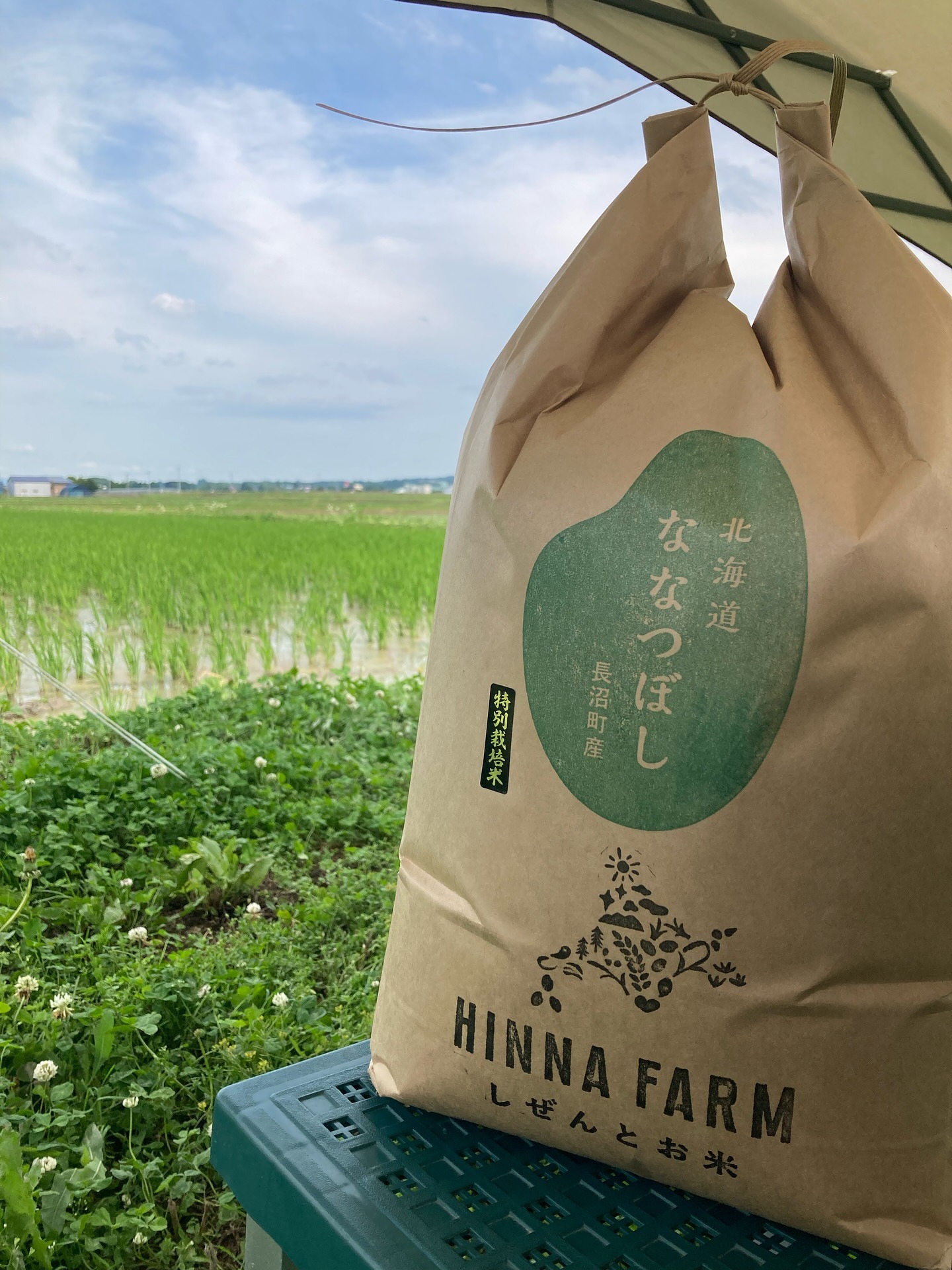 ななつぼし