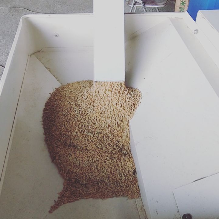 特別栽培米