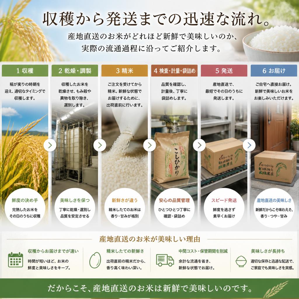 4. 産地直送がもたらす新鮮さ